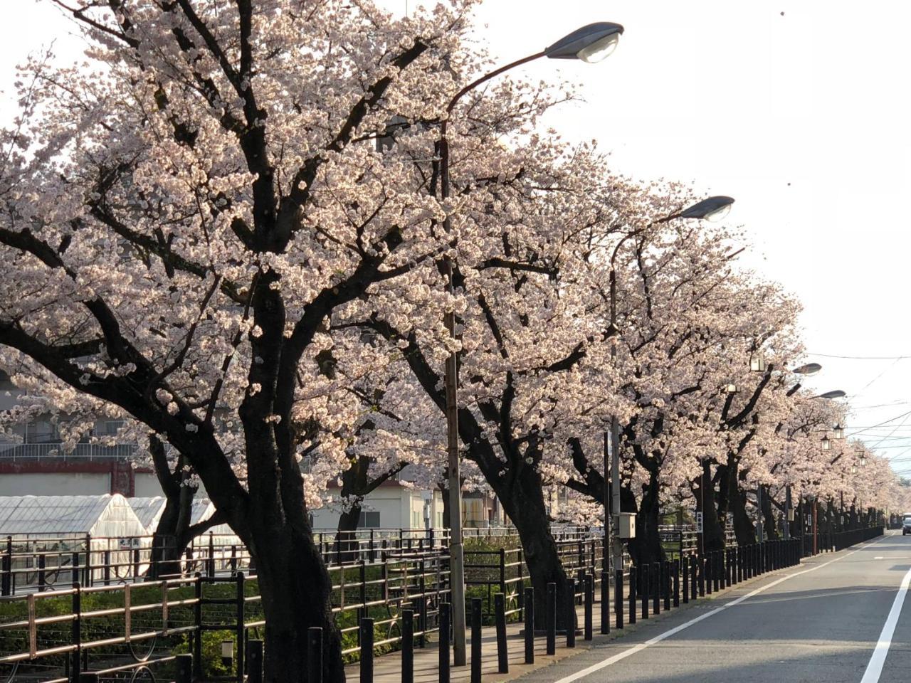 Beautiful Japanese Garden Kagetsu Hotel Fuefuki Exterior photo